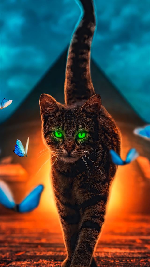1284x2778 cats - cats iPhone Wallpaper