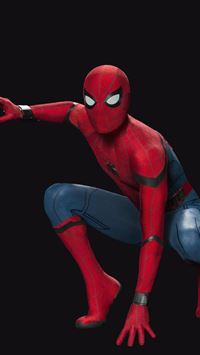 Spiderman Posing Resolution HD 4k Images Backgroun... wallpaper