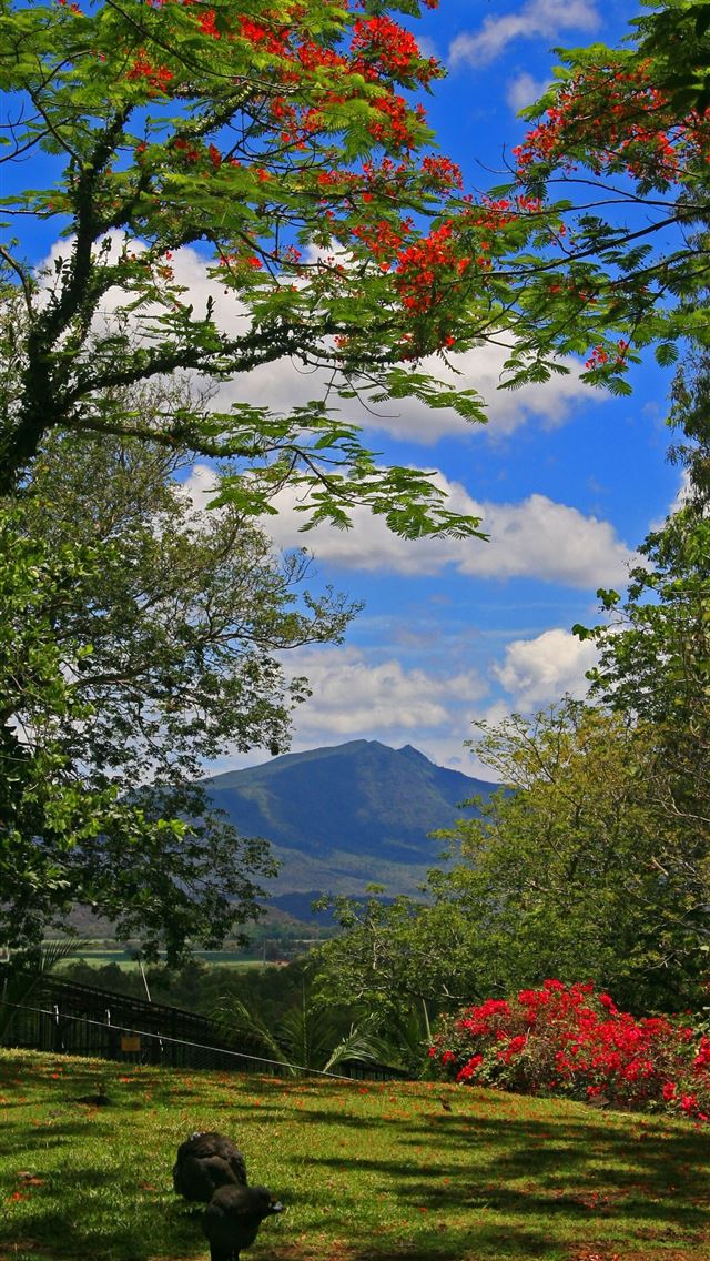1284x2778 Bird Park Mauritius - mauritius iPhone Wallpaper