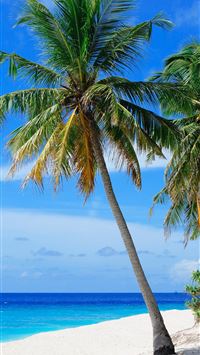 Retirement mauritius Maurice Invest wallpaper