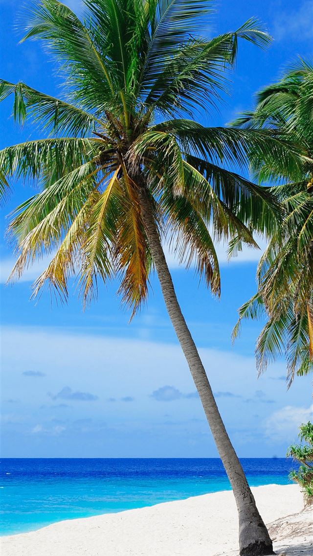1284x2778 Retirement mauritius Maurice Invest - mauritius iPhone Wallpaper
