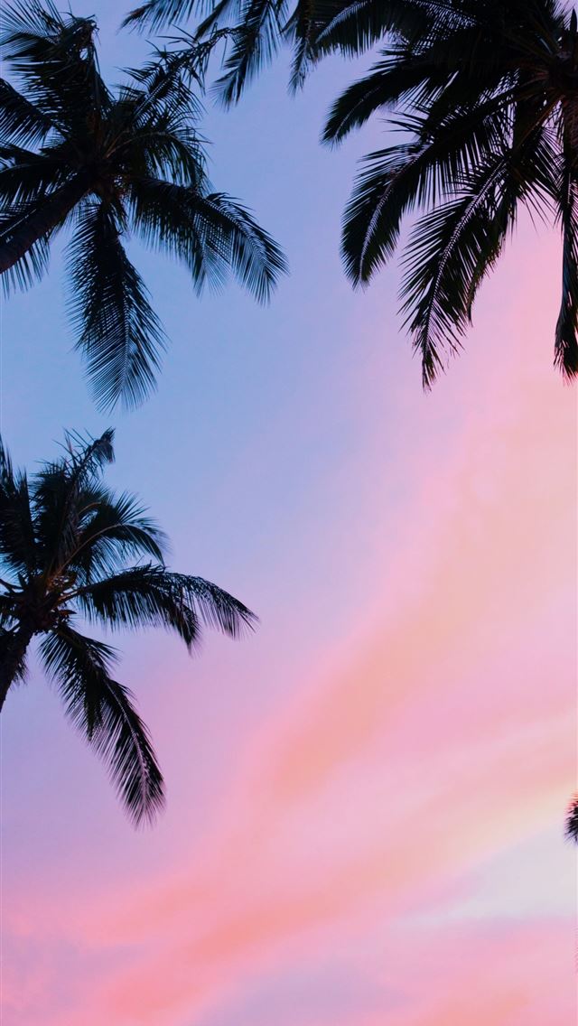 1284x2778 mauritius - mauritius iPhone Wallpaper