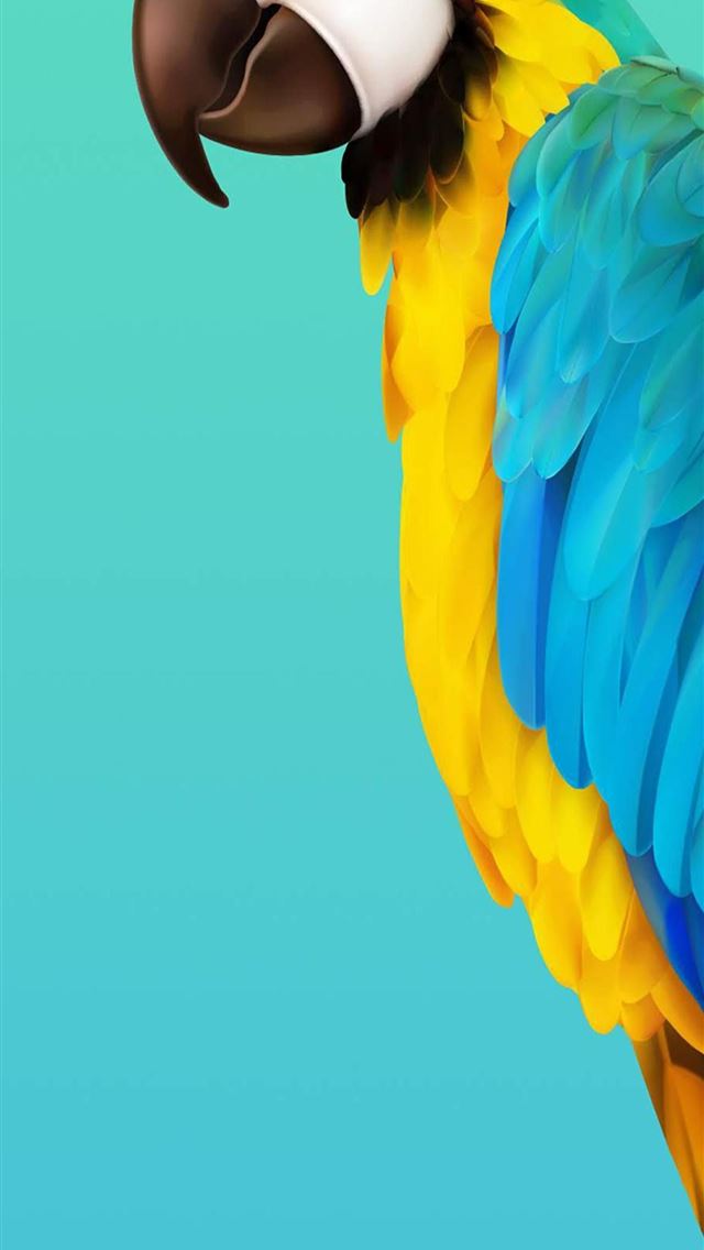 1284x2778 Note 10 - parrot iPhone Wallpaper