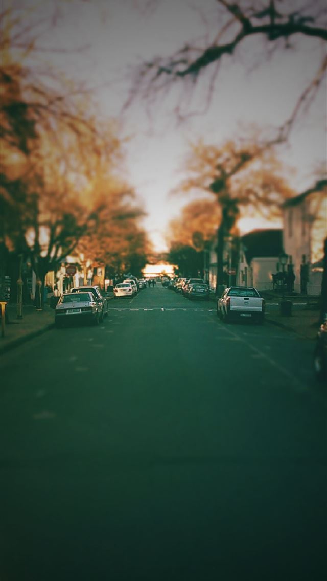 1284x2778 south africa - south africa iPhone Wallpaper
