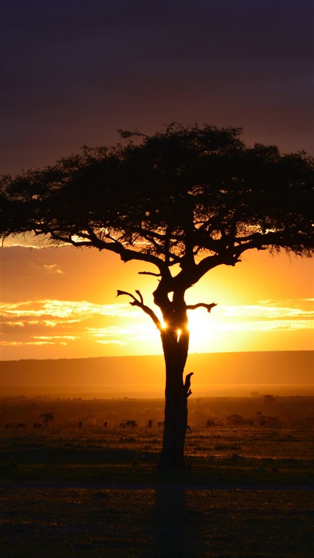 1284x2778 south africa - south africa iPhone Wallpaper