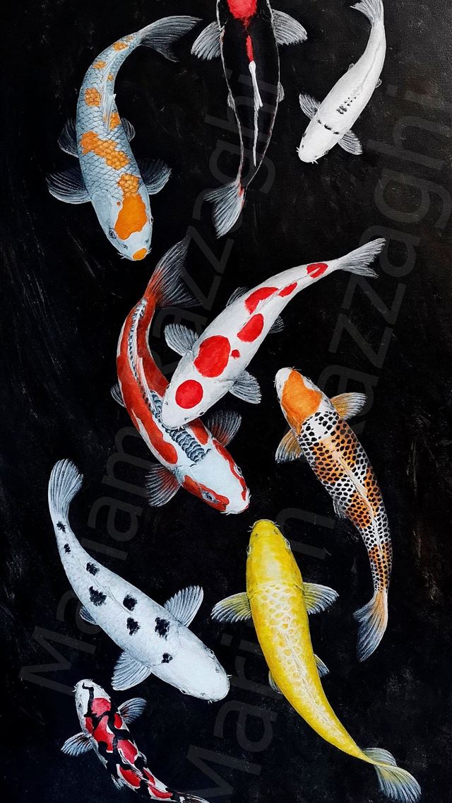 1284x2778 goldfish - goldfish iPhone Wallpaper