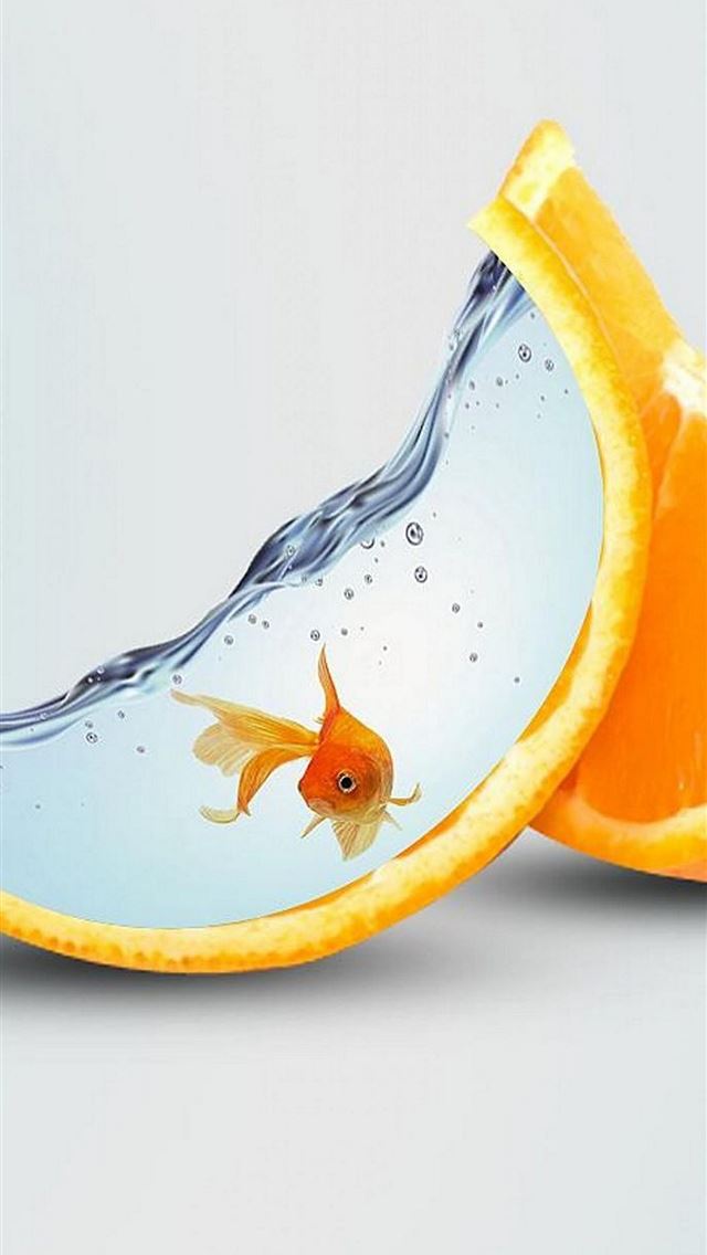 1284x2778 goldfish - goldfish iPhone Wallpaper
