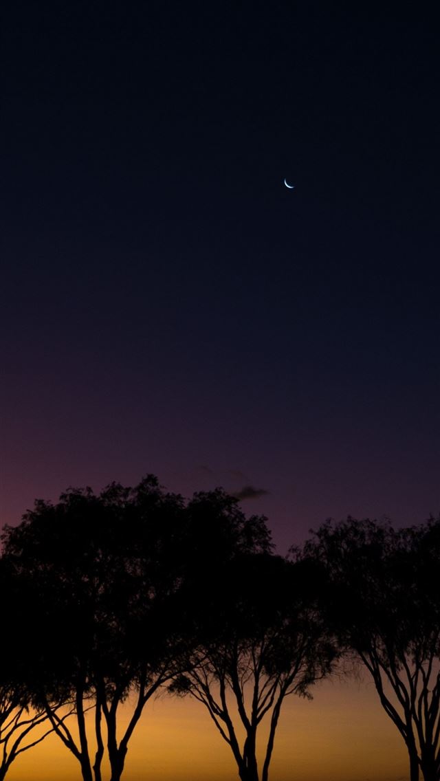 1284x2778 sunset trees siesta park australia samsung galaxy ... - australia iPhone Wallpaper