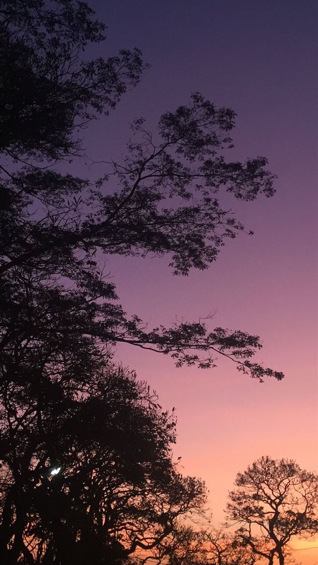 1284x2778 indonesia - indonesia iPhone Wallpaper
