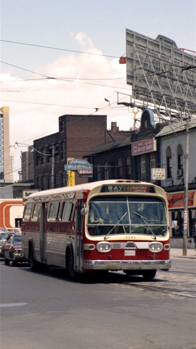 1284x2778 buses - buses iPhone Wallpaper
