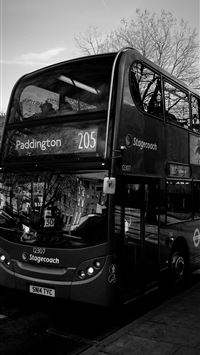 Beautiful Buses wallpaper