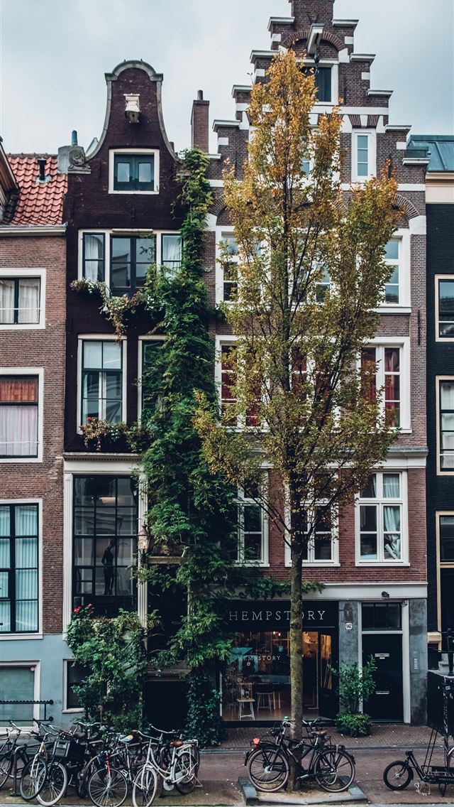 1284x2778 Amsterdam Top Free Amsterdam Access - amsterdam iPhone Wallpaper