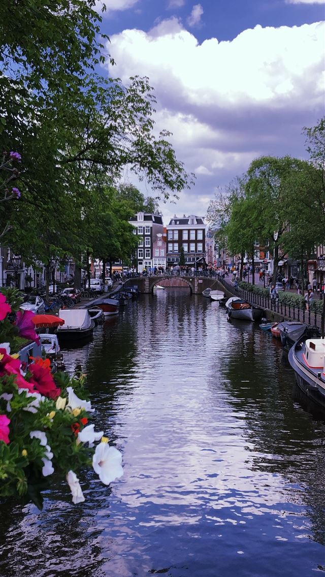 1284x2778 Amsterdam📍 - amsterdam iPhone Wallpaper