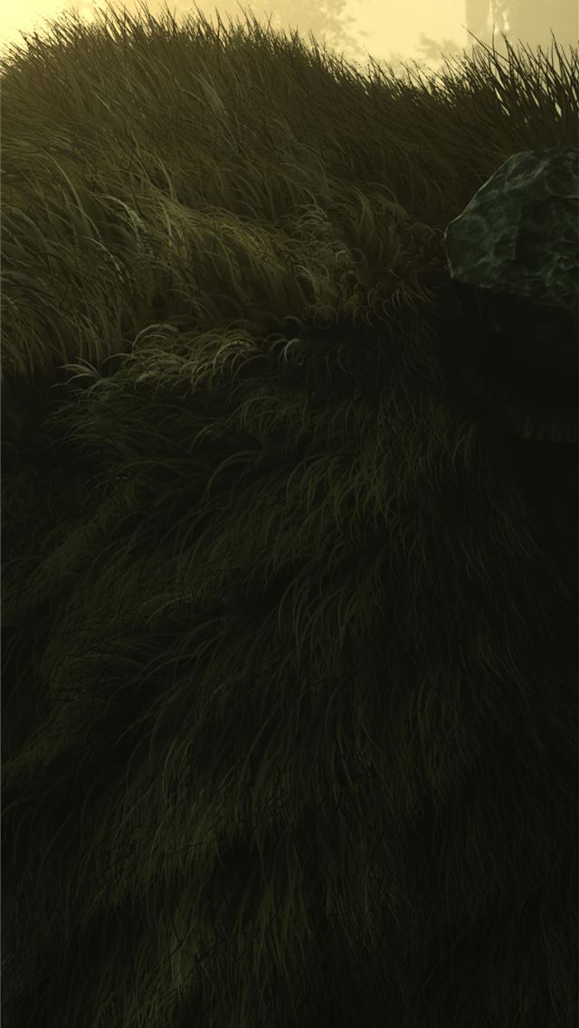 1284x2778 Shadow Of The Colossus Resolution HD Games 4K Imag... - shadow of the colossus iPhone Wallpaper