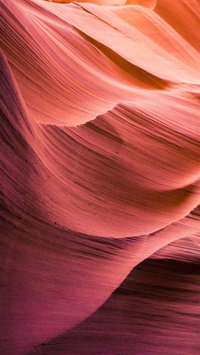 1284x2778 red and maroon wallpaper - pink iPhone Wallpaper