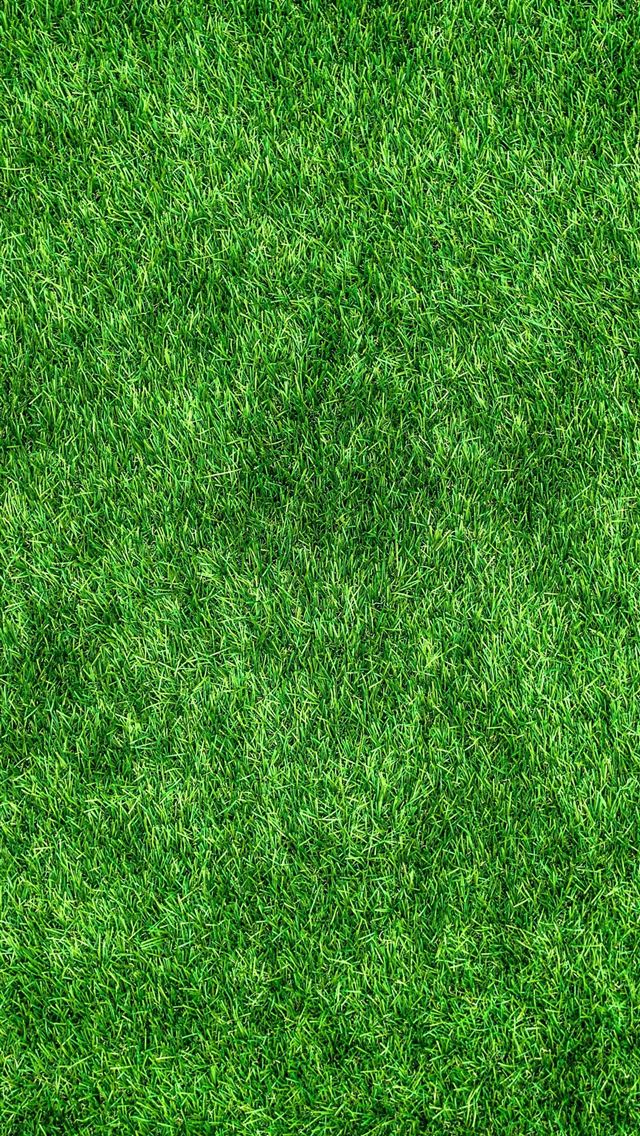 1284x2778 Hey are you looking for free for either puter or p... - grass iPhone Wallpaper