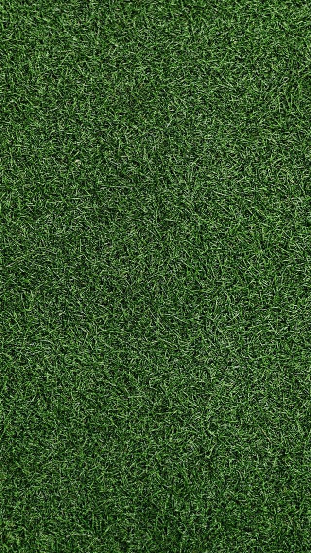 1284x2778 Grass Background Sony Xperia X XZ Z5 Premium HD 4k... - grass iPhone Wallpaper