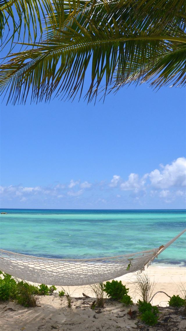1284x2778 Ocean View Hammock in The Lookout at Sandyport Bea... - bahamas iPhone Wallpaper