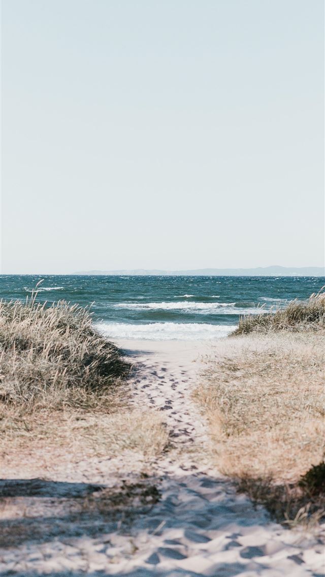 1284x2778 bahamas - bahamas iPhone Wallpaper
