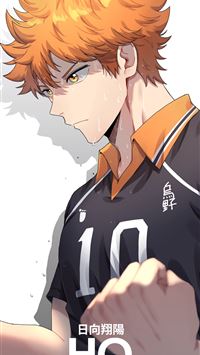 Haikyu Shoyo Hinata 4K HD Anime Wallpapers, HD Wallpapers