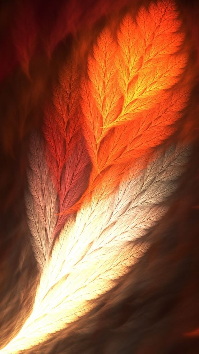36 Wallpapers In feather Wallpapers For iPhone