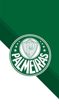 Palmeiras Papel de Parede wallpaper