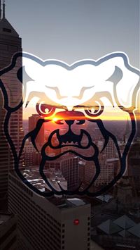 bulldogs wallpaper