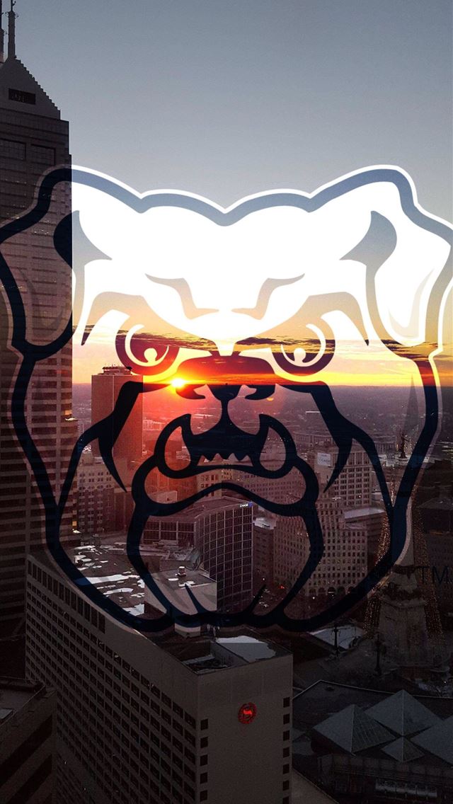 1284x2778 bulldogs - bulldogs iPhone Wallpaper