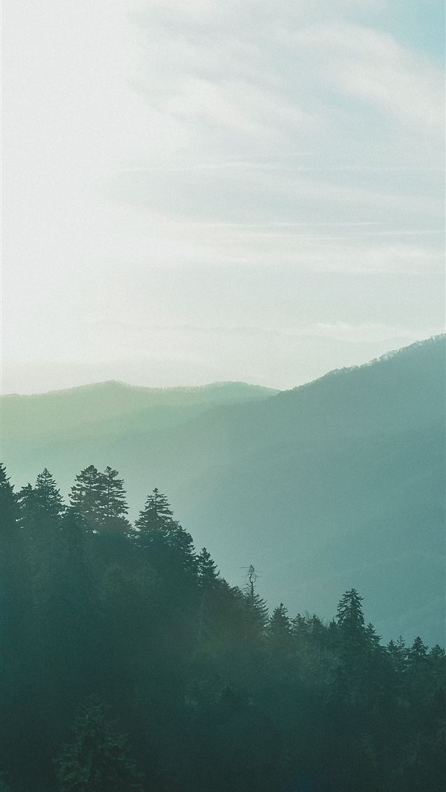 1284x2778 Forest Sky Fog Mountains  - fog iPhone Wallpaper