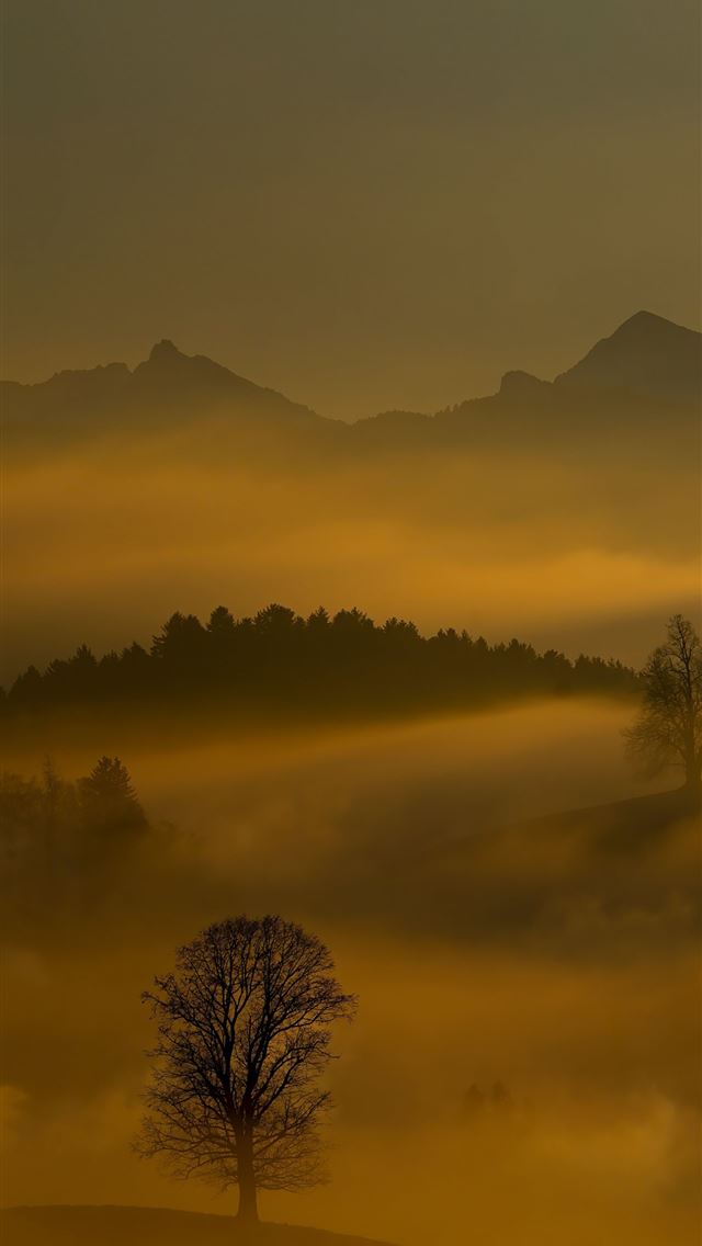 1284x2778 dusky sunset fog horizon forest samsung galaxy s8 ... - fog iPhone Wallpaper
