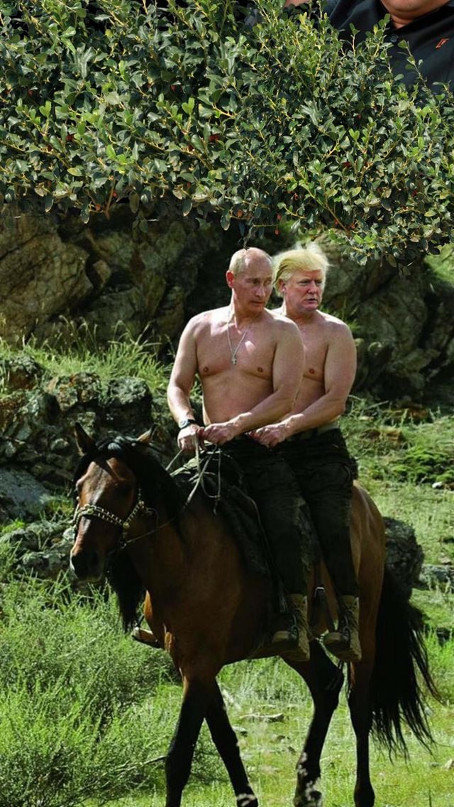 1284x2778 Vladimir Putin Cave - vladimir putin iPhone Wallpaper