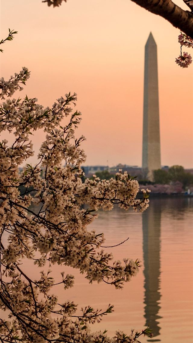 1125x2436 washington dc - washington dc iPhone Wallpaper