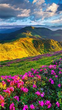 Slovenia 4k 5k Alps meadows azalea mountains OS Pa... wallpaper