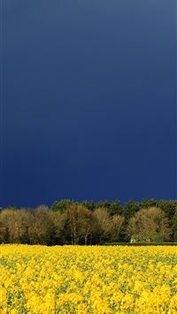 Meadows 5k 4k wildflowers sky clouds Nature Page 4 wallpaper