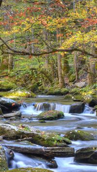 great smoky mountains national park wallpaper