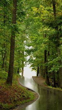 Take a drive through one of the most beautiful par... wallpaper