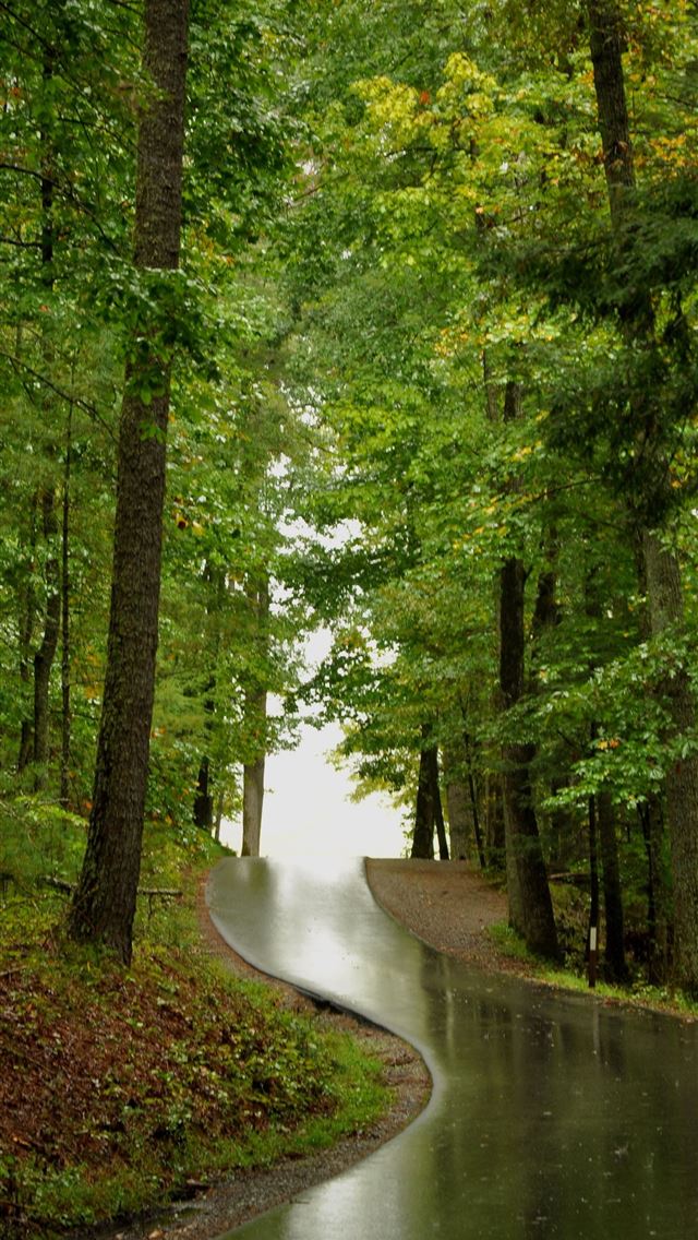 1284x2778 Take a drive through one of the most beautiful par... - great smoky mountains national park iPhone Wallpaper