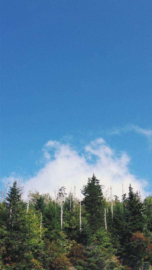 1284x2778 great smoky mountains national park - great smoky mountains national park iPhone Wallpaper