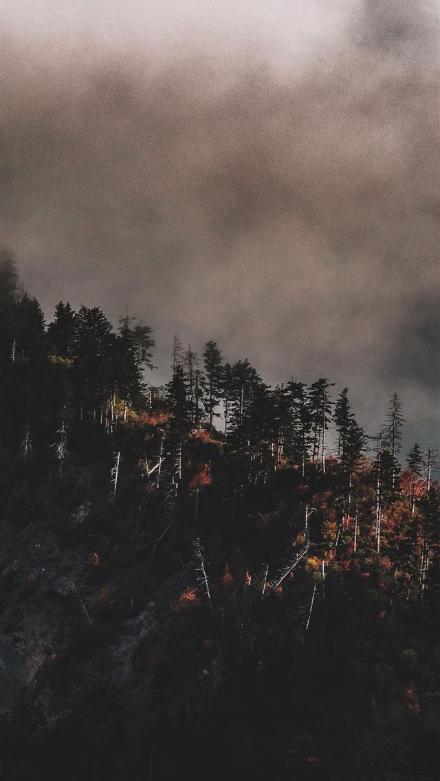 1284x2778 Great Smoky Mountains National Park United States ... - great smoky mountains national park iPhone Wallpaper