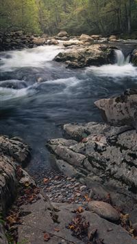 great smoky mountains national park wallpaper
