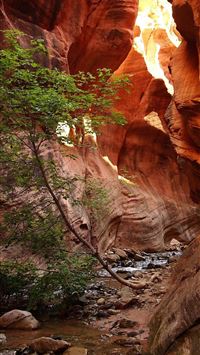 Zion National Park Phone Cave wallpaper