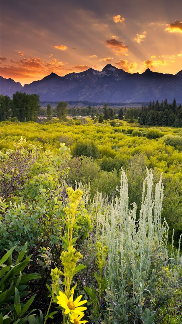 1284x2778 Grand Teton National Park Sunset Clouds  - grand teton national park iPhone Wallpaper