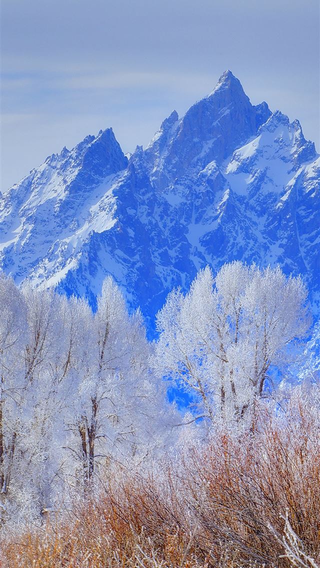 1284x2778 grand teton national park wyoming usa Resolution H... - grand teton national park iPhone Wallpaper