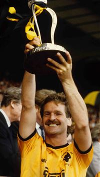 Tottenham vs Wolves wallpaper