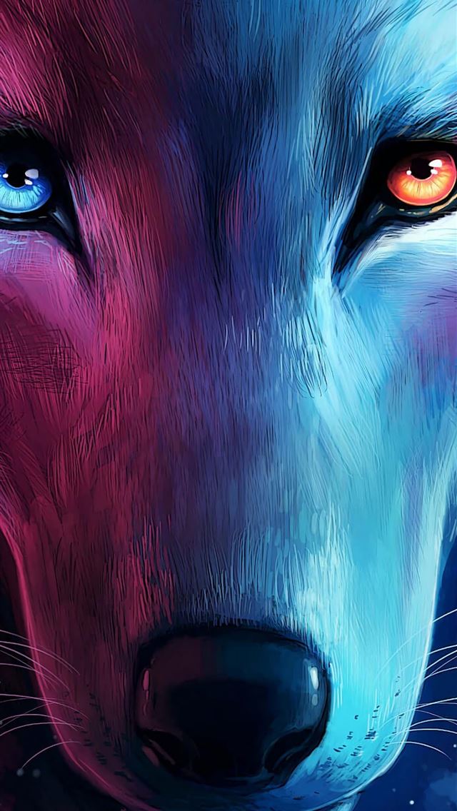 1284x2778 wolverhampton wanderers fc - wolverhampton wanderers fc iPhone Wallpaper