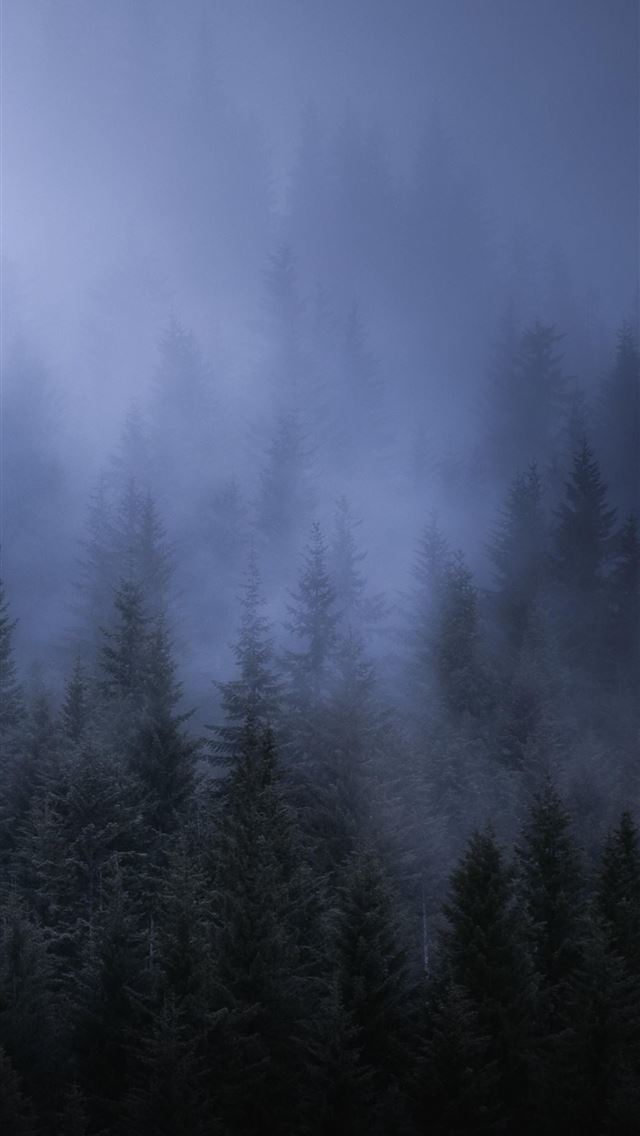 1284x2778 Mist Top Free Mist Backgrounds Access - mist iPhone Wallpaper