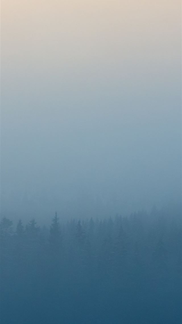 1284x2778 mist fog forest dawn nature lg v30 lg g6 hd image ... - mist iPhone Wallpaper