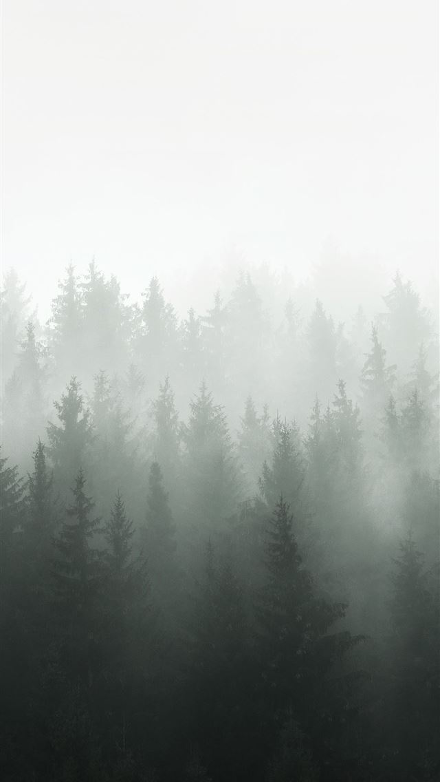 1284x2778 mist - mist iPhone Wallpaper