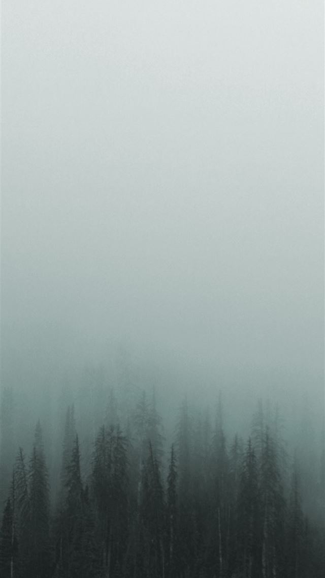 1284x2778 Gloomy Mist Samsung Galaxy Note 9 8 S9 S8 S8 QHD H... - mist iPhone Wallpaper