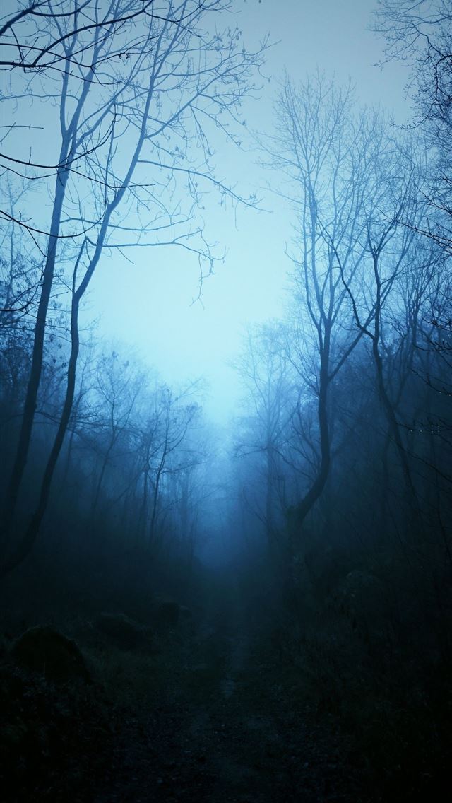 1284x2778 mist - mist iPhone Wallpaper
